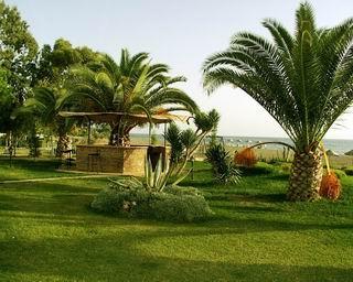 PALMIYE HOTEL