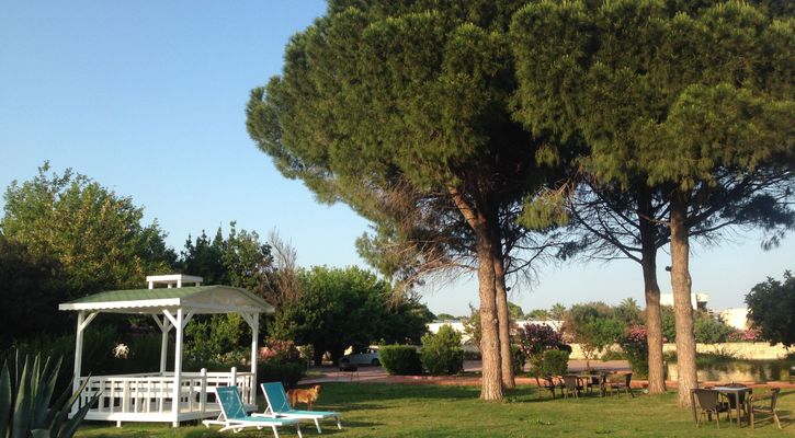 Holiday Inn Antalya - Lara