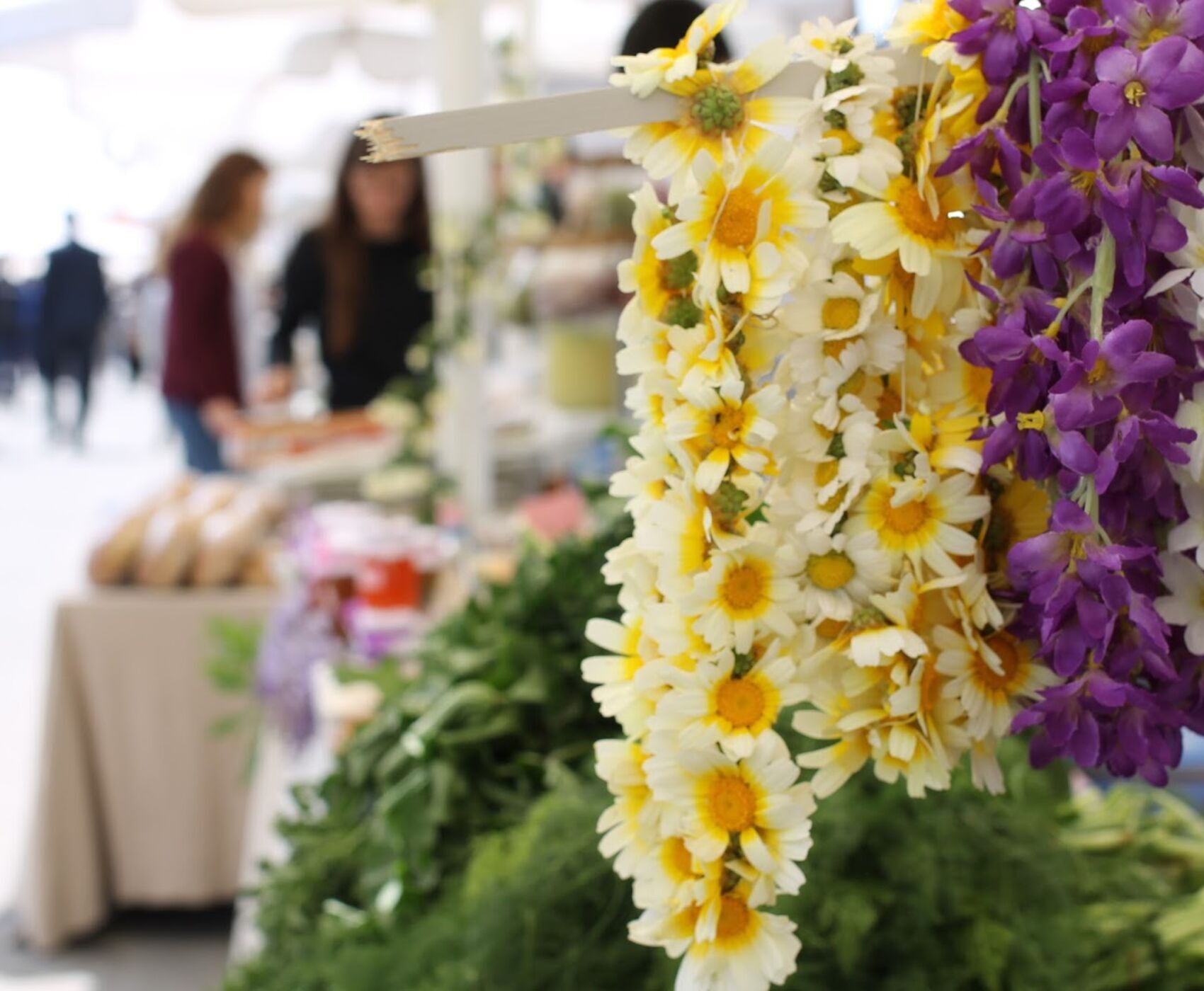 ALAÇATI HERB FESTIVAL AND AEGEAN TOUR