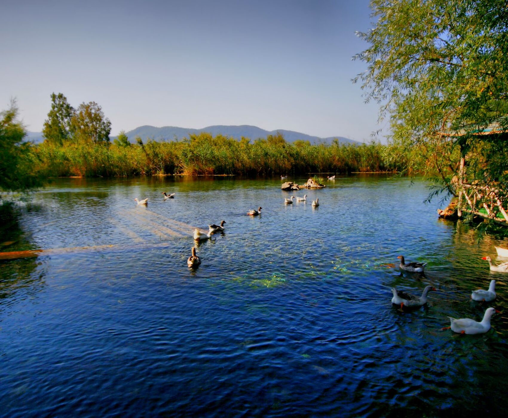 DATÇA MARMARİS SEDİR ISLAND AKYAKA TOUR