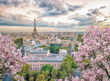 Comfort Alsace Fransa Almanya İsviçre Turu Türk Hava Yolları ile 3 Gece Ramazan Bayramı Dönemi ZRH-ZRH