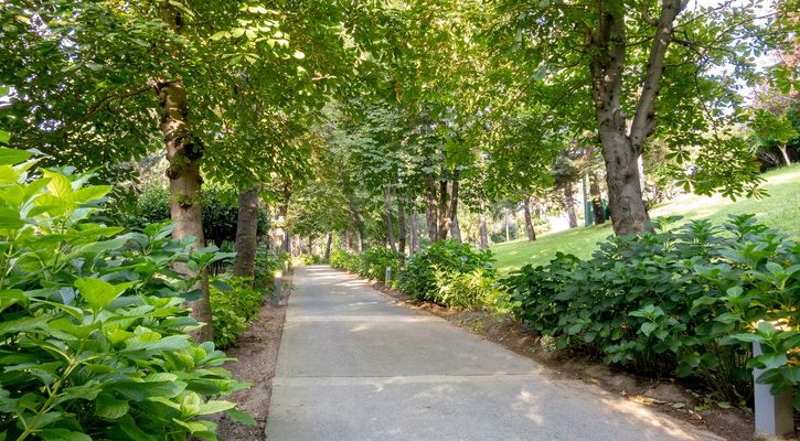 Swissotel The Bosphorus