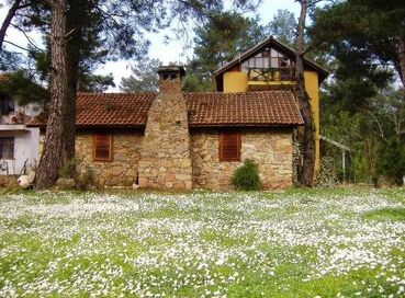 Daphne House