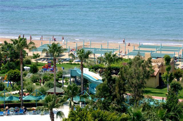 PALOMA BEACH