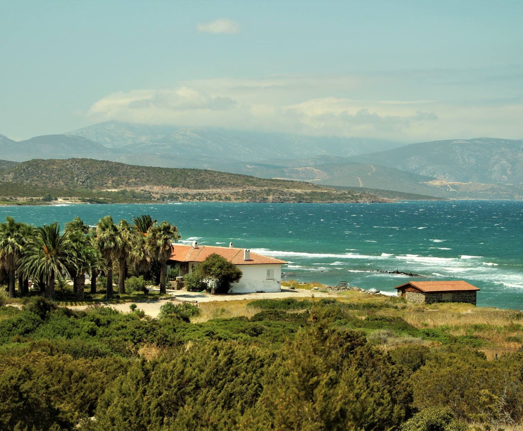 EGE'NİN EN RENKLİ KIŞ FESTİVALİ - NERGİS FESTİVALİ ROTASI