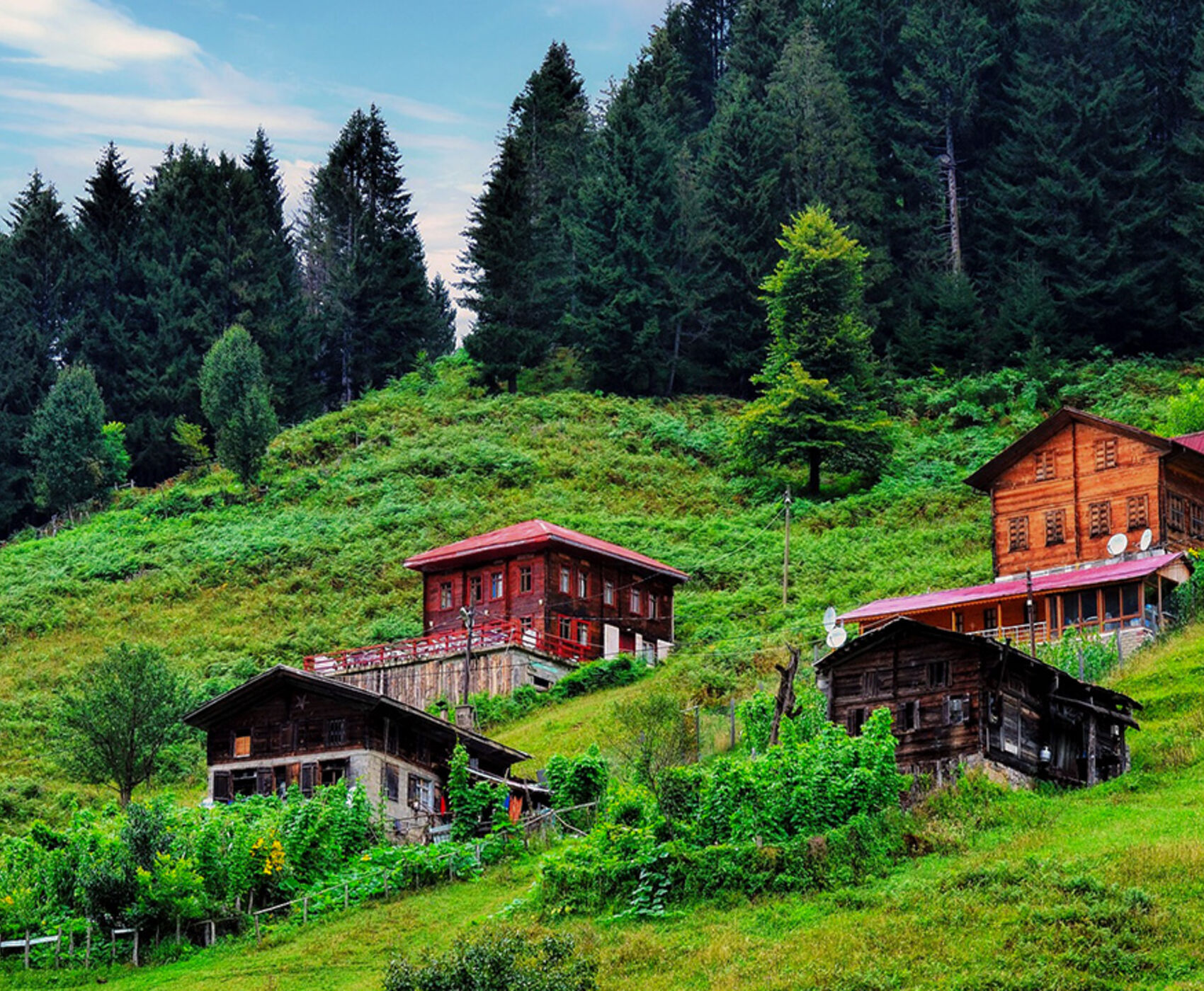 UÇAKLI VAN KARS KARADENİZ BATUM TURU