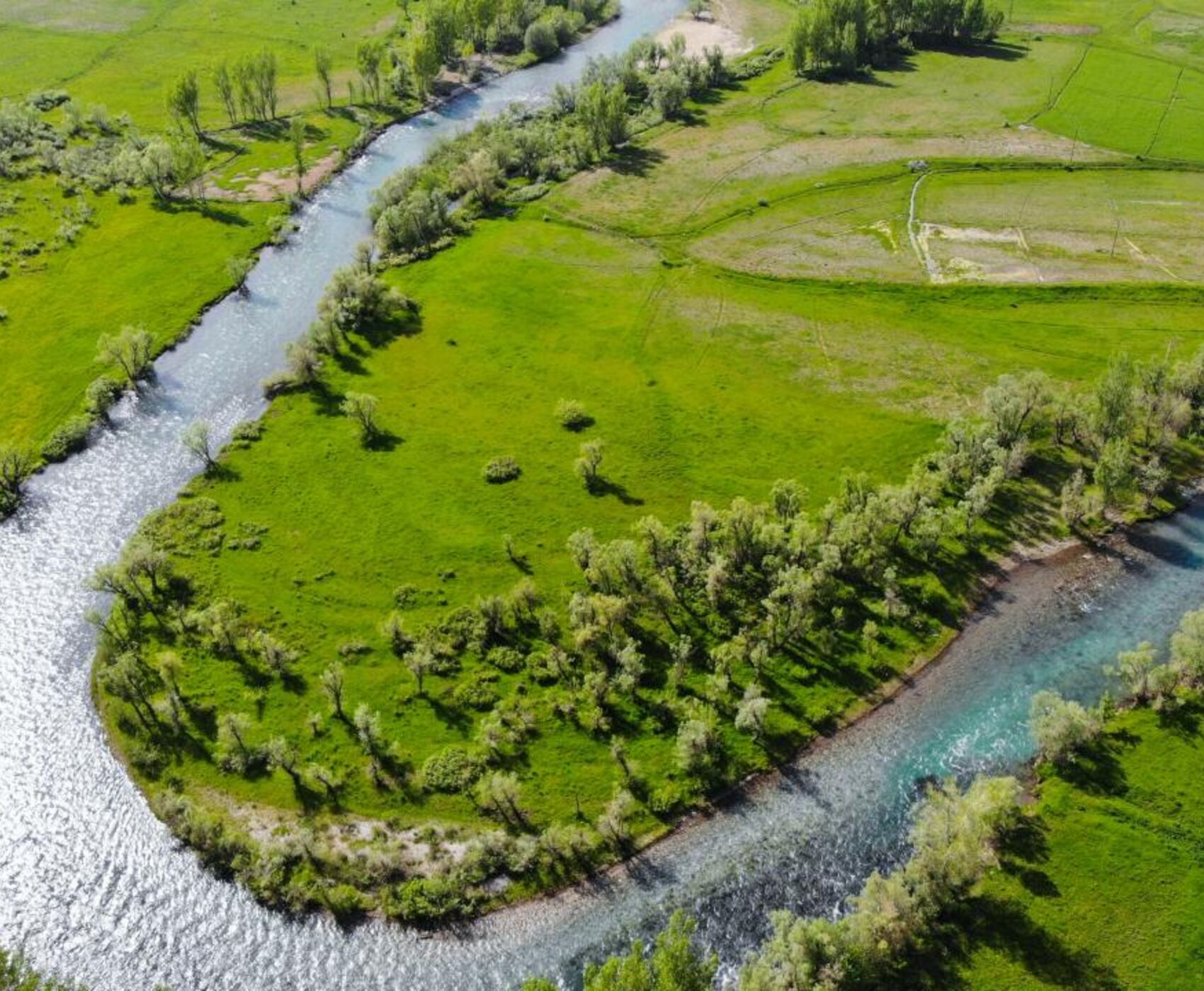 UÇAKLI MALATYA ELAZIĞ TUNCELİ OVACIK TURU