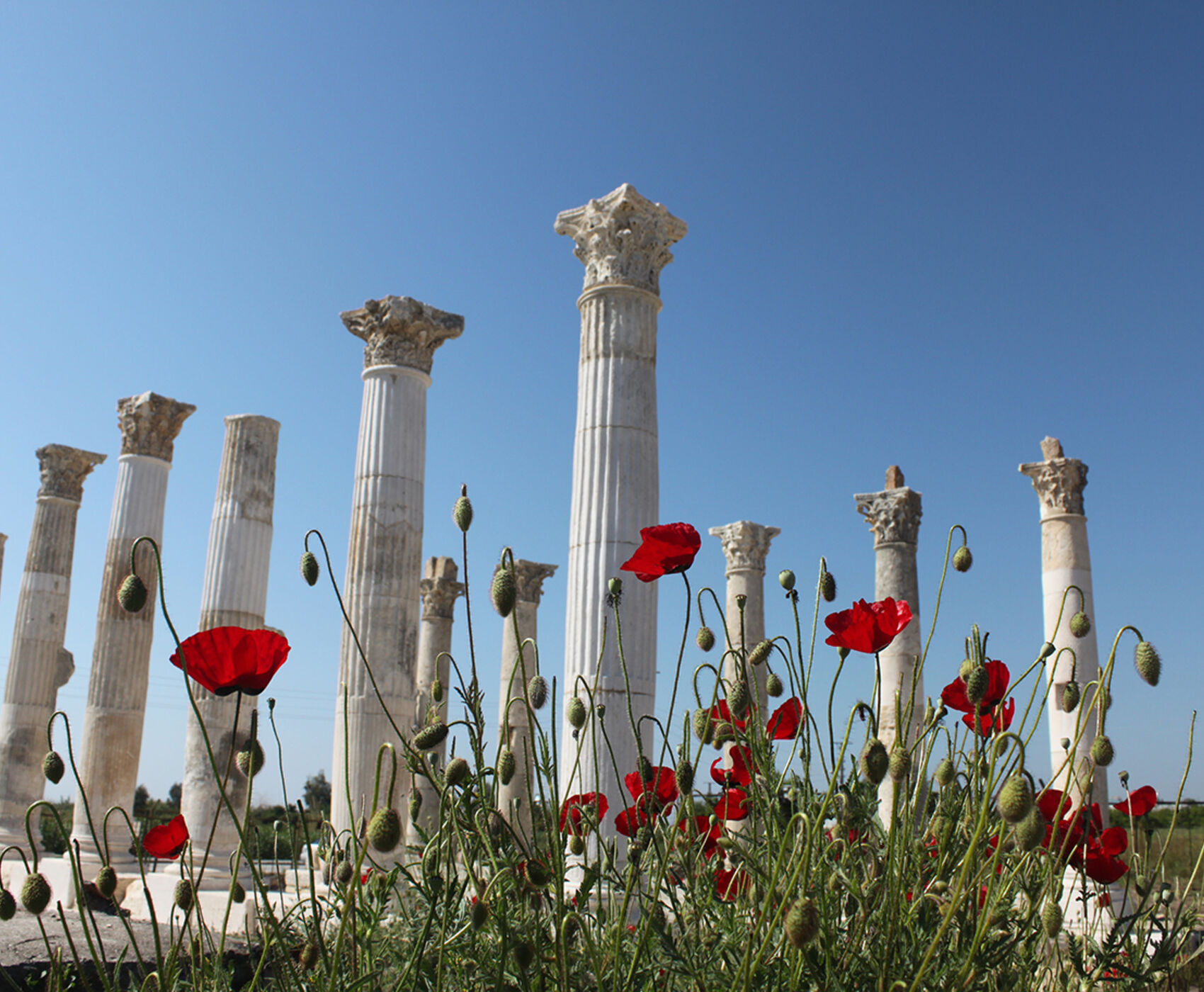 OTOBÜSLÜ MERSİN TARSUS TURU