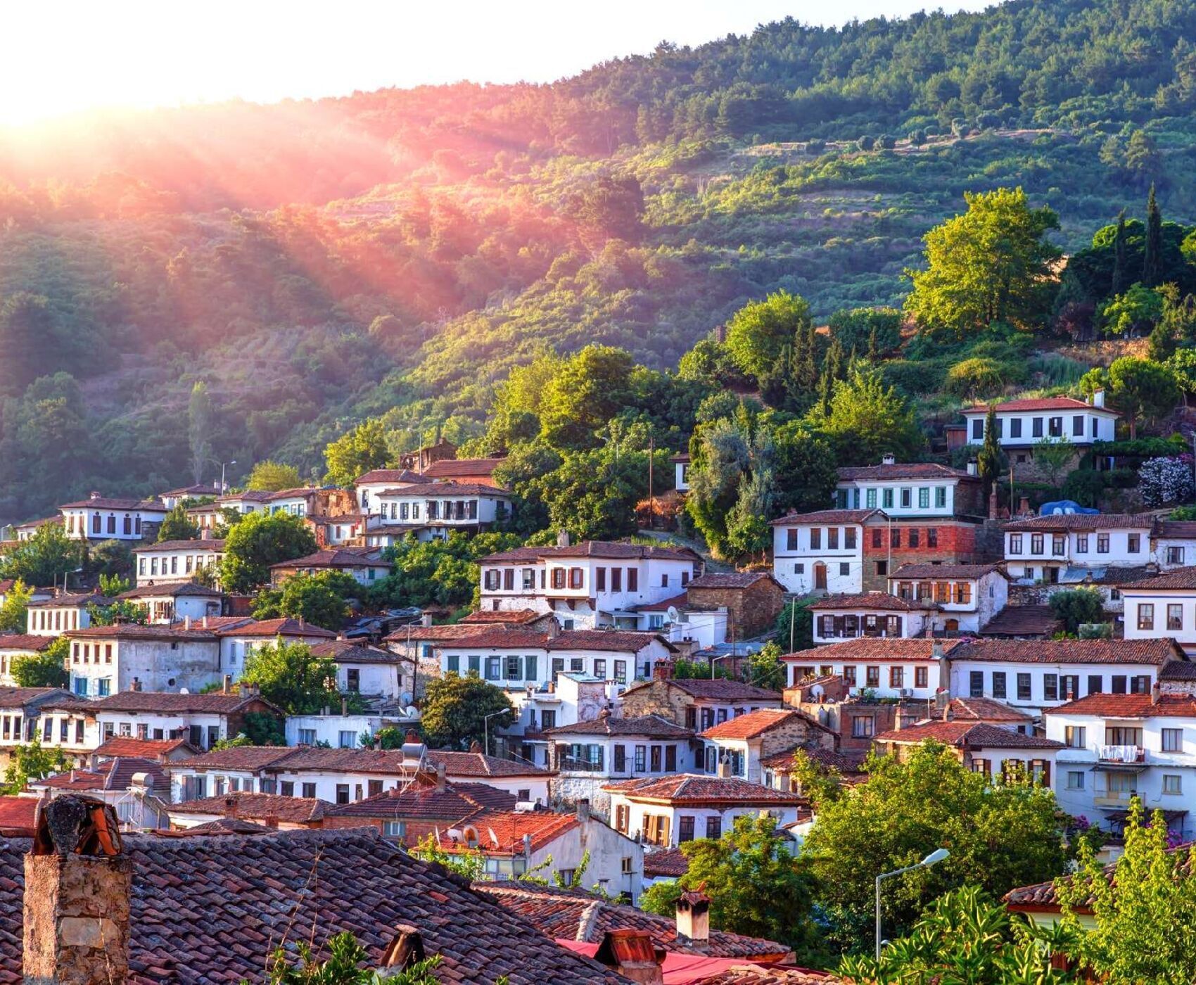 BODRUM - DİDİM - KUŞADASI - İZMİR - ALAÇATI - ÇEŞME - FOÇA - ŞİRİNCE