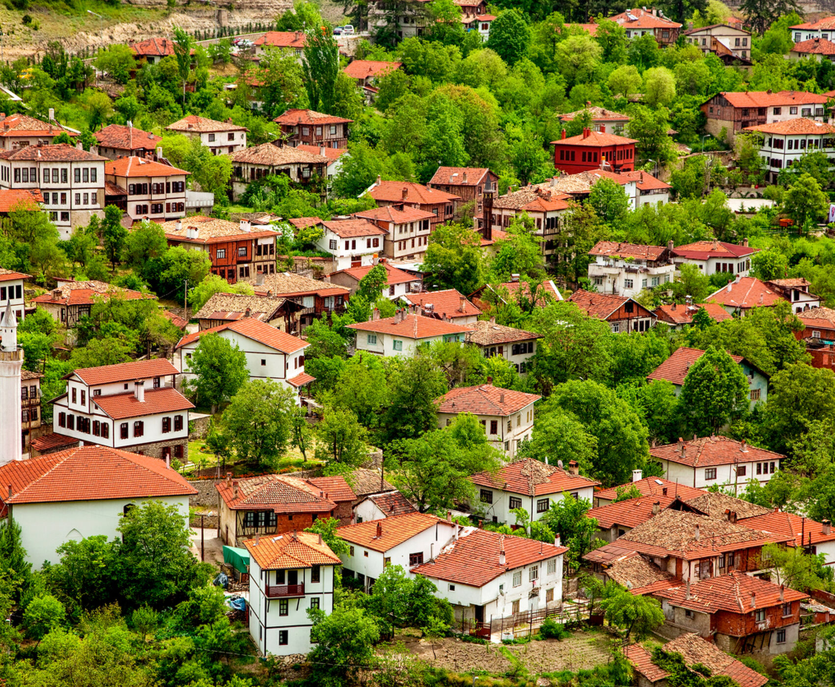 UÇAKLI BUTİK BATI KARADENİZ & SAFRAN HASADI 