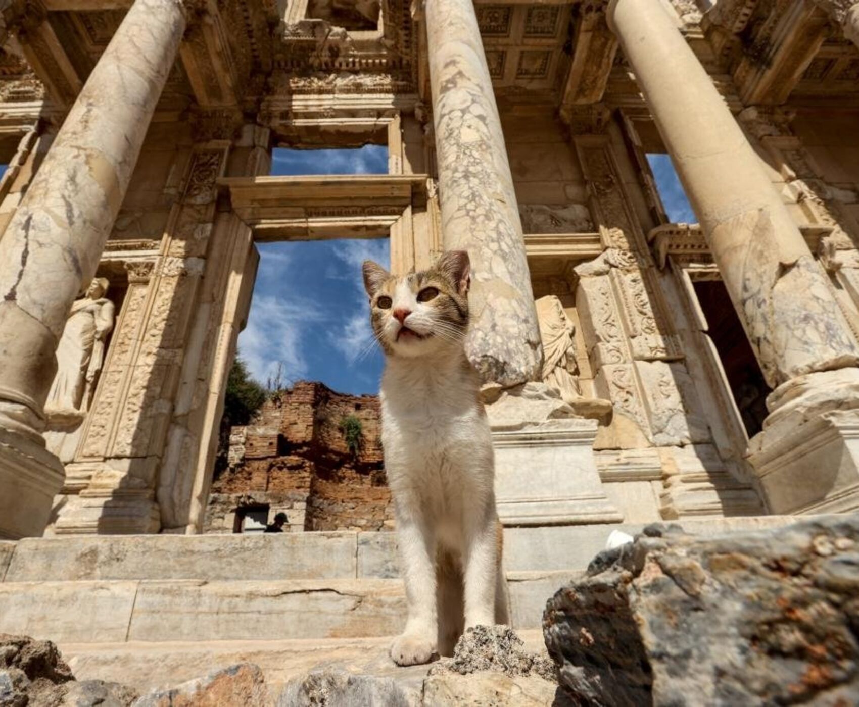 BAYINDIR ÇİÇEK FESTİVALİ