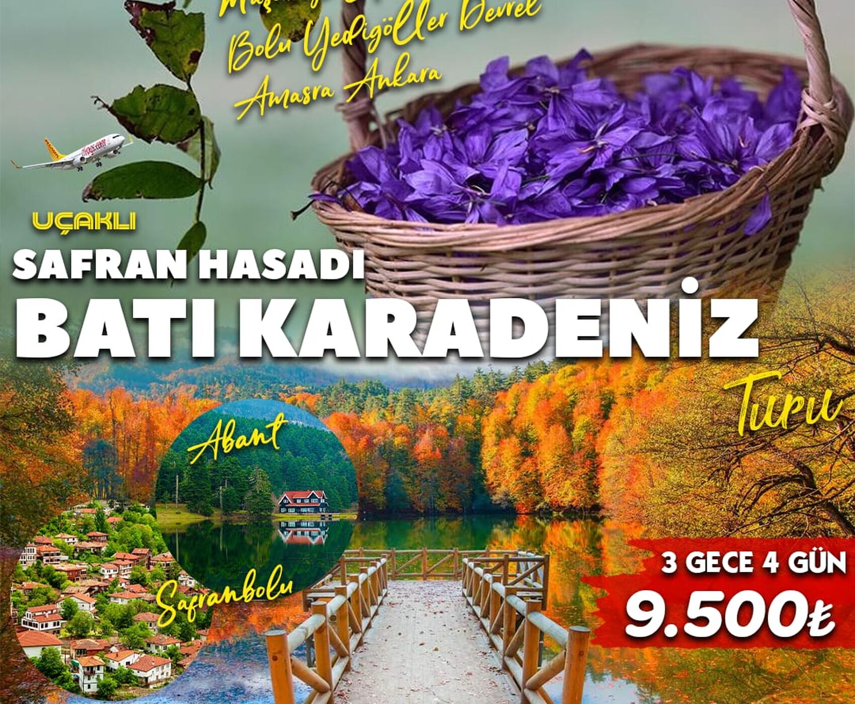 UÇAKLI BUTİK BATI KARADENİZ & SAFRAN HASADI 