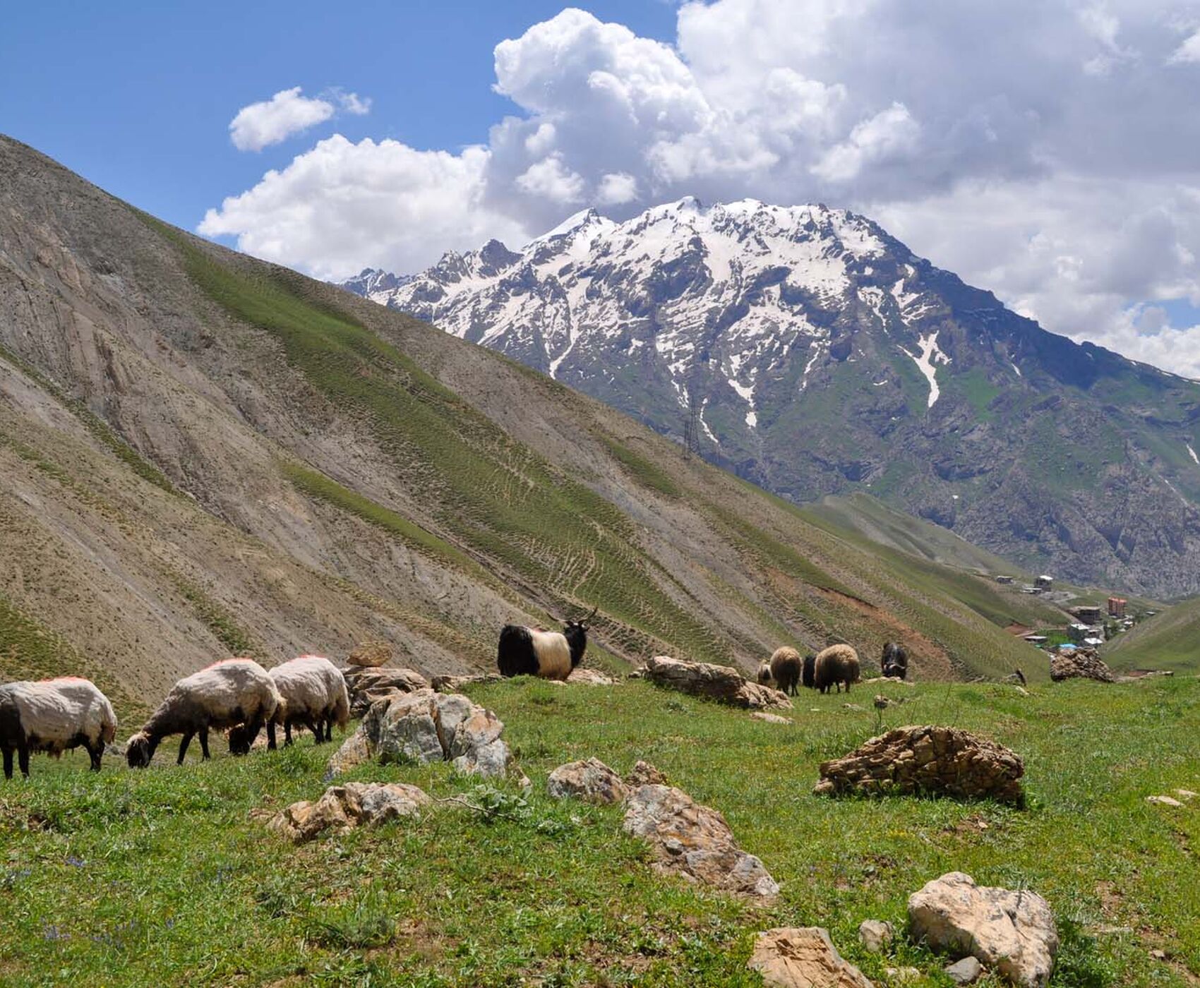 VAN NAHÇİVAN TEBRİZ HAKKARİ ŞIRNAK ( AZERBAYCAN & İRAN )