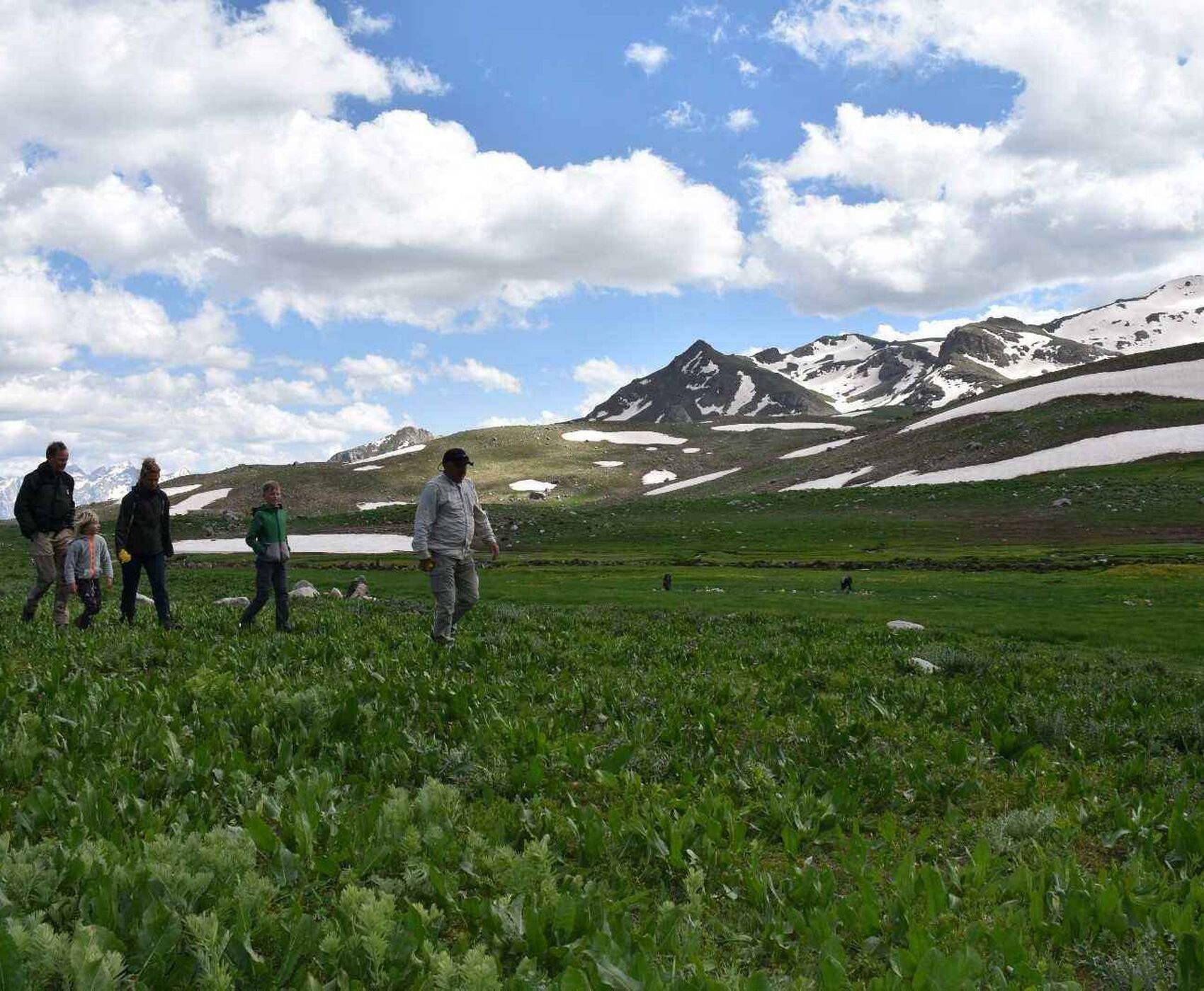 VAN NAHÇİVAN TEBRİZ HAKKARİ ŞIRNAK ( AZERBAYCAN & İRAN )