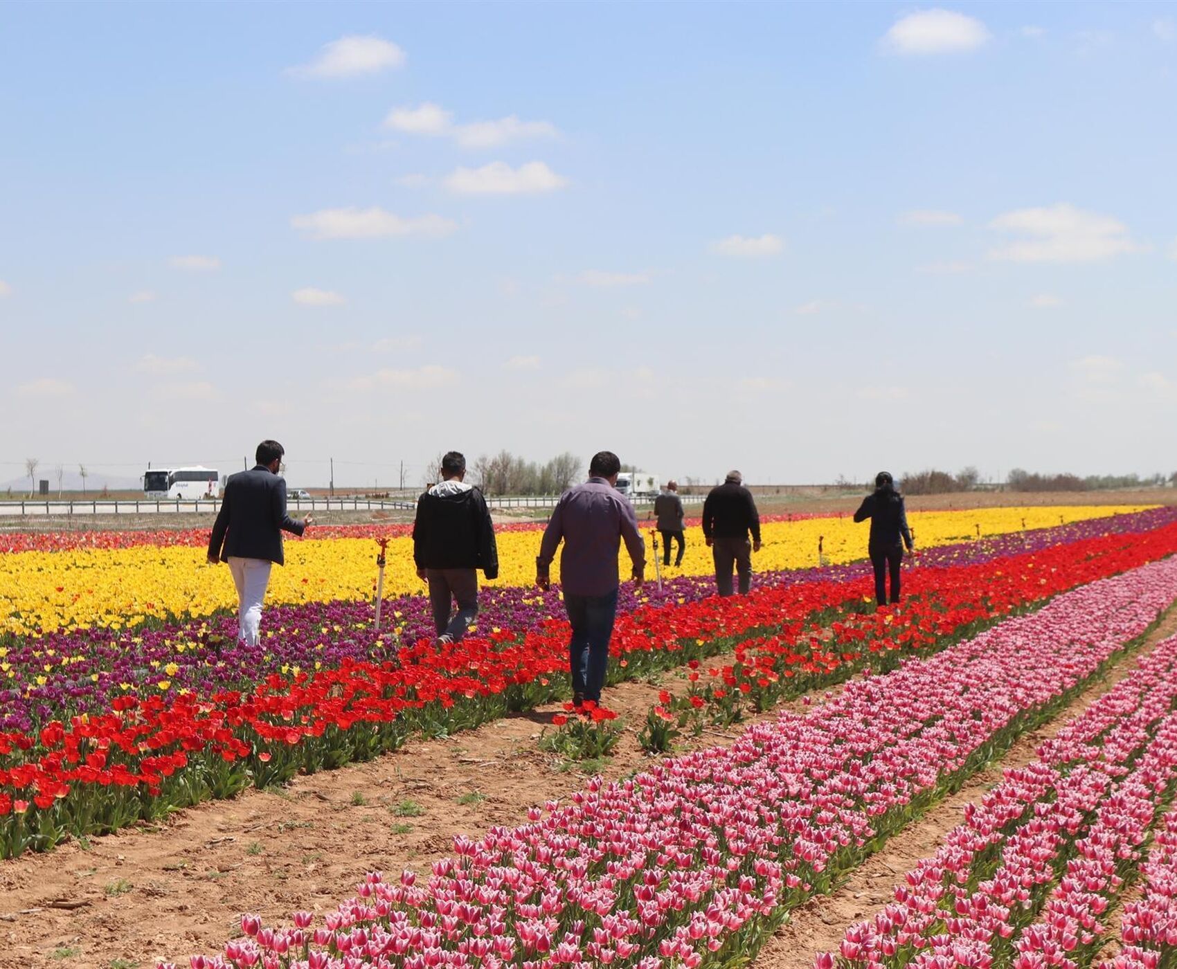 TULIP GARDENS & KARAMAN & TAŞKALE GRANARIES