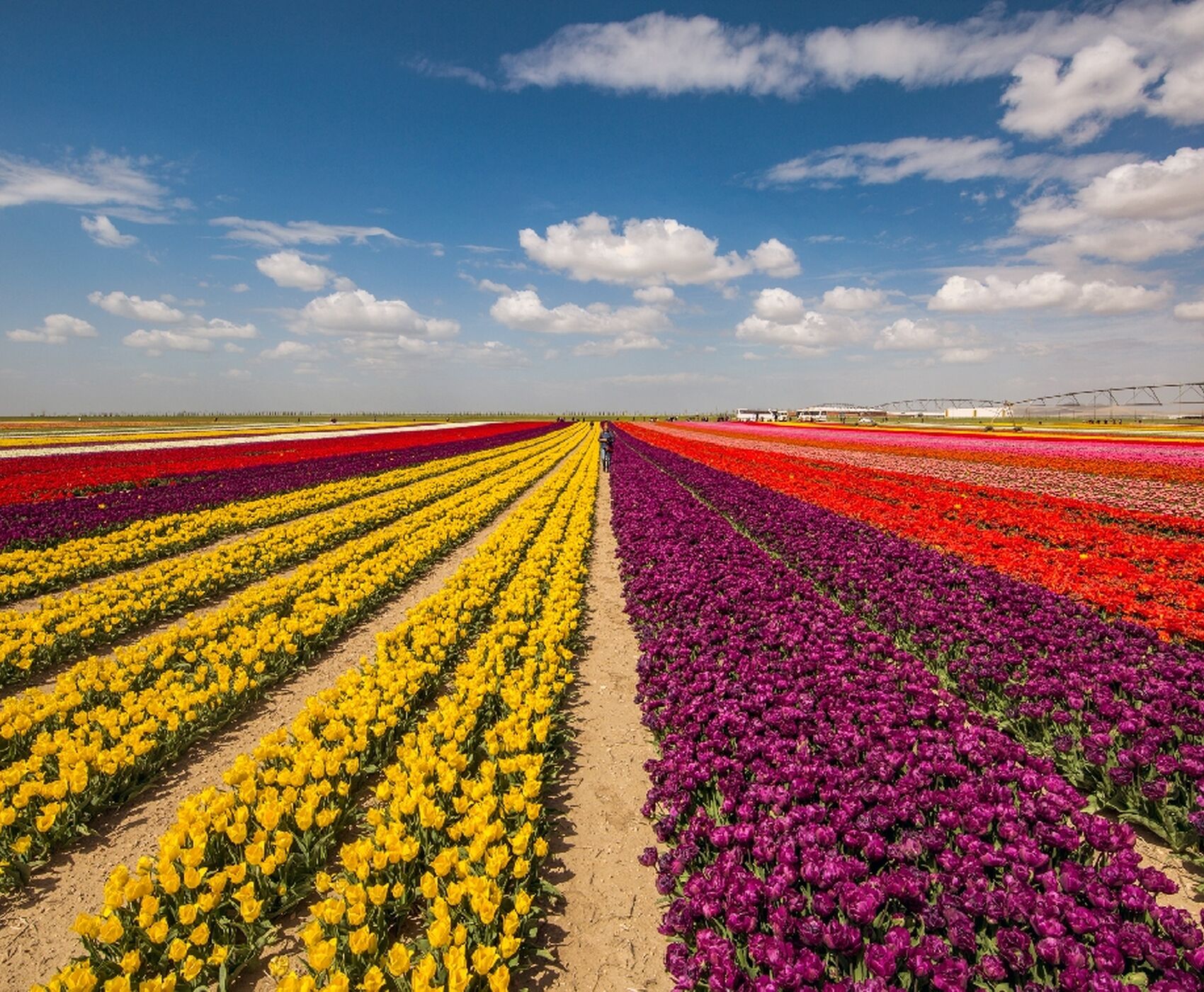 TULIP GARDENS & KARAMAN & TAŞKALE GRANARIES