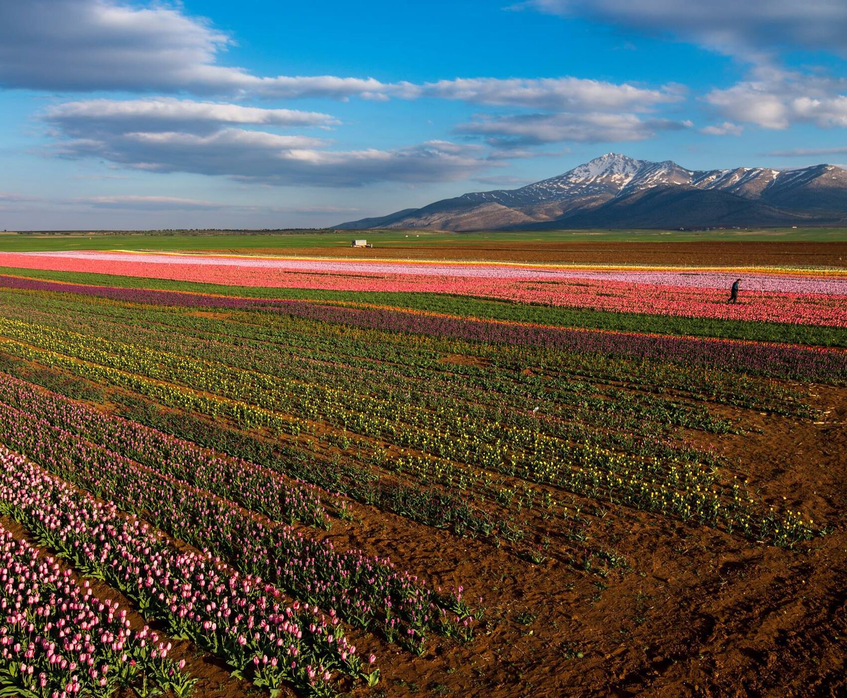 TULIP GARDENS & KARAMAN & TAŞKALE GRANARIES