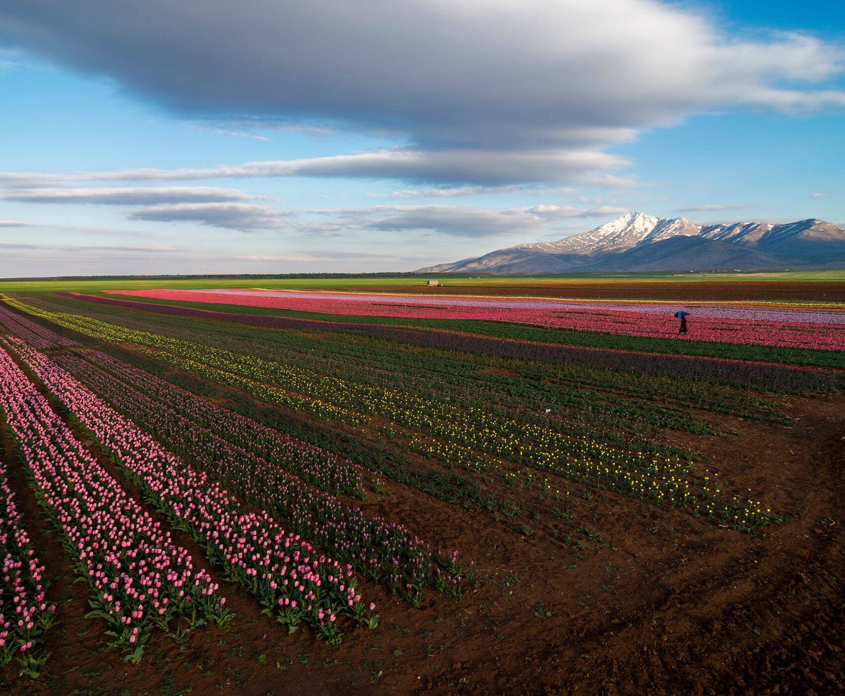 TULIP GARDENS & KARAMAN & TAŞKALE GRANARIES