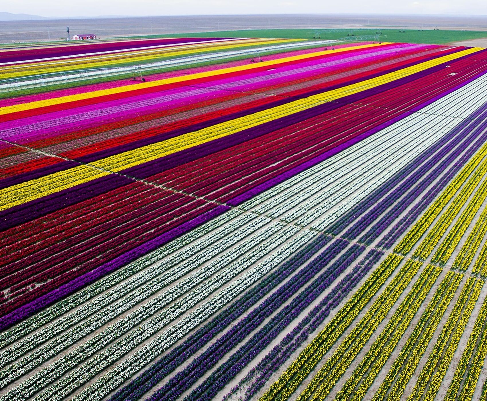 TULIP GARDENS & KARAMAN & TAŞKALE GRANARIES