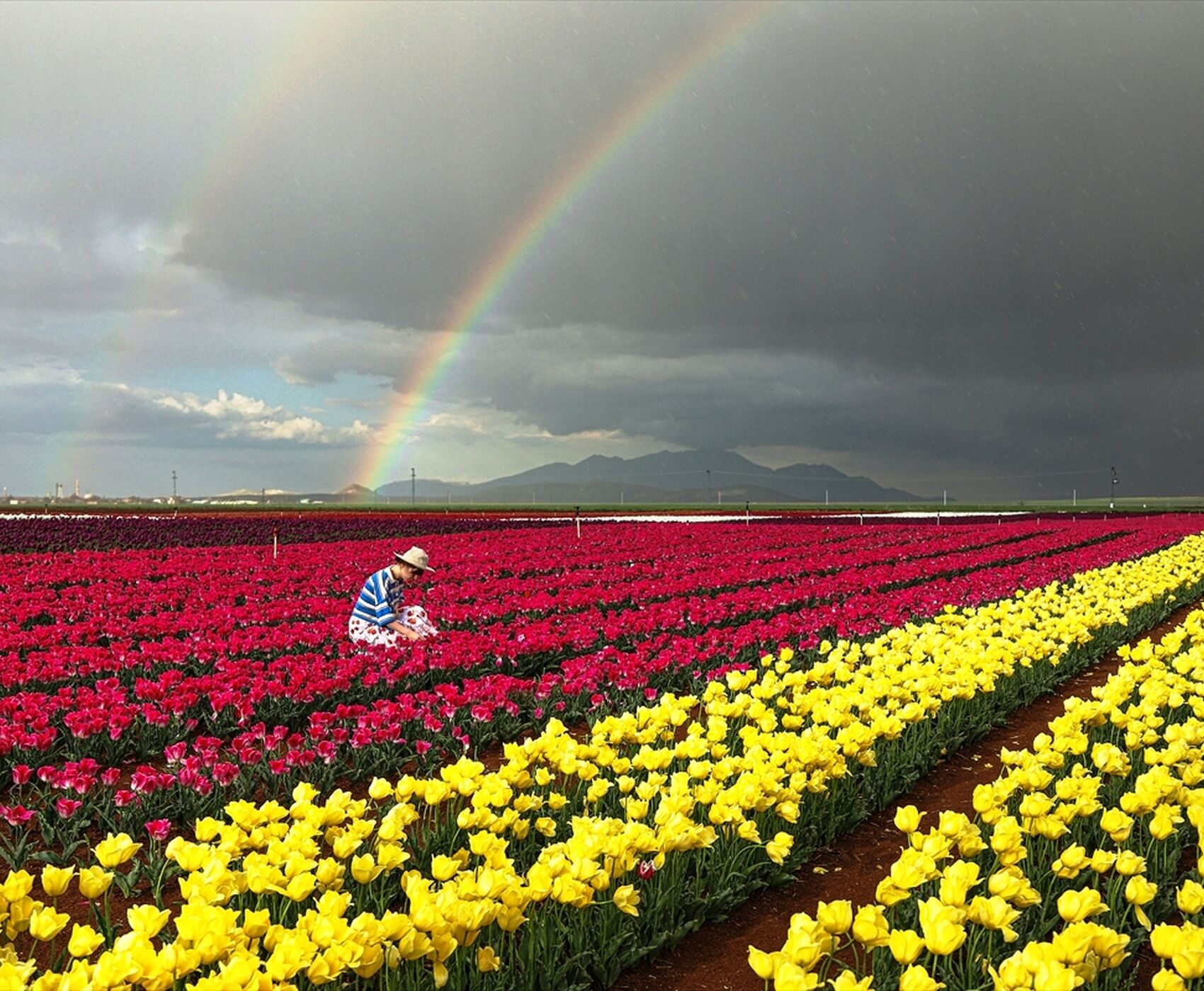 TULIP GARDENS & KARAMAN & TAŞKALE GRANARIES