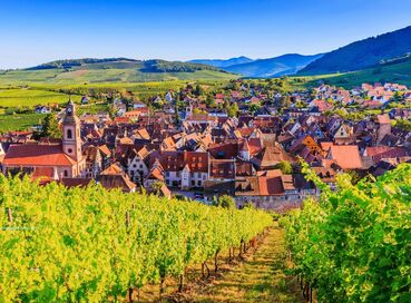 Elit Alsace ve Romantik Yol Almanya Muhteşem Rhein Nehir Gezisi Turu