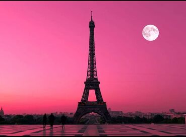 PGS HY İle Grand Paris & Disneyland & Brüksel ve Amsterdam Turu  - AMS-ORY