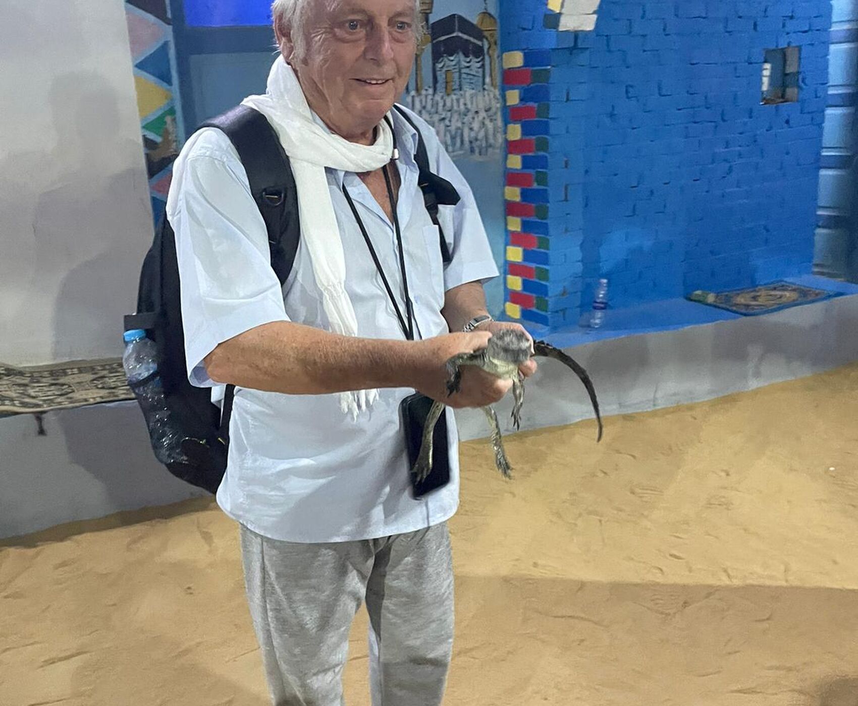 HERŞEY DAHİL BAŞTAN BAŞA MISIR  LUXOR KAHİRE SHARM EL SHEİKH