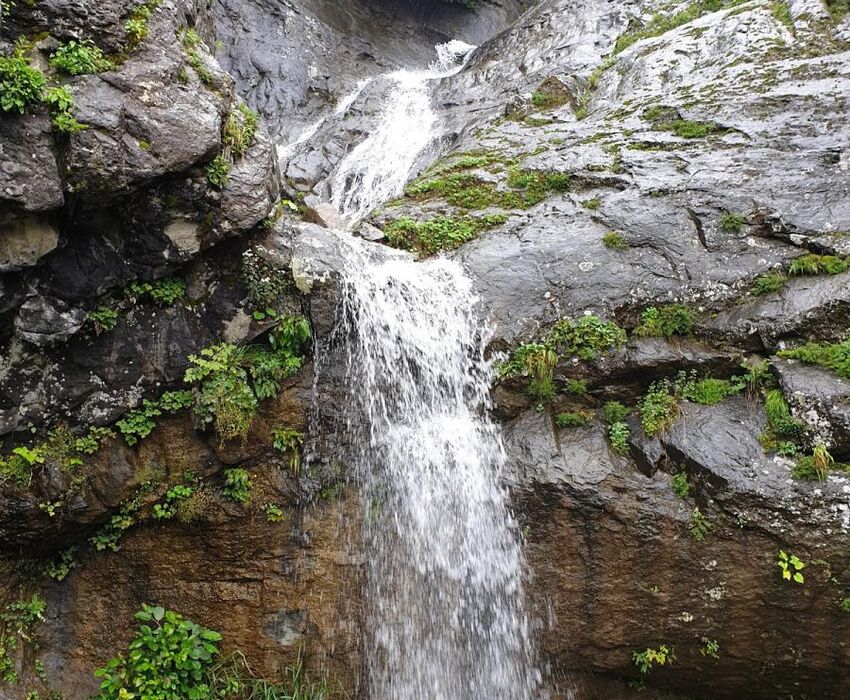 UÇAKLI VAN KARS KARADENİZ YAYLALARI