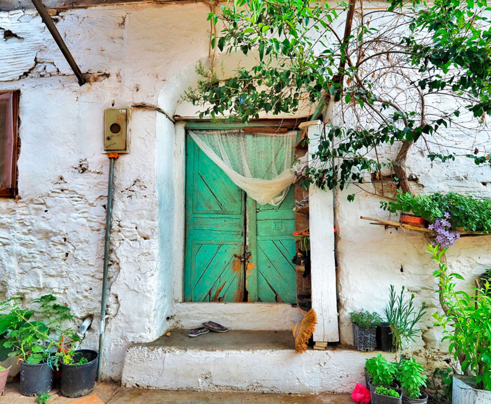 UÇAKLI İZMİR &ALAÇATI & FOÇA & AYVALIK &  BOZCAADA & ÇANAKKALE & BANDIRMA & BURSA 