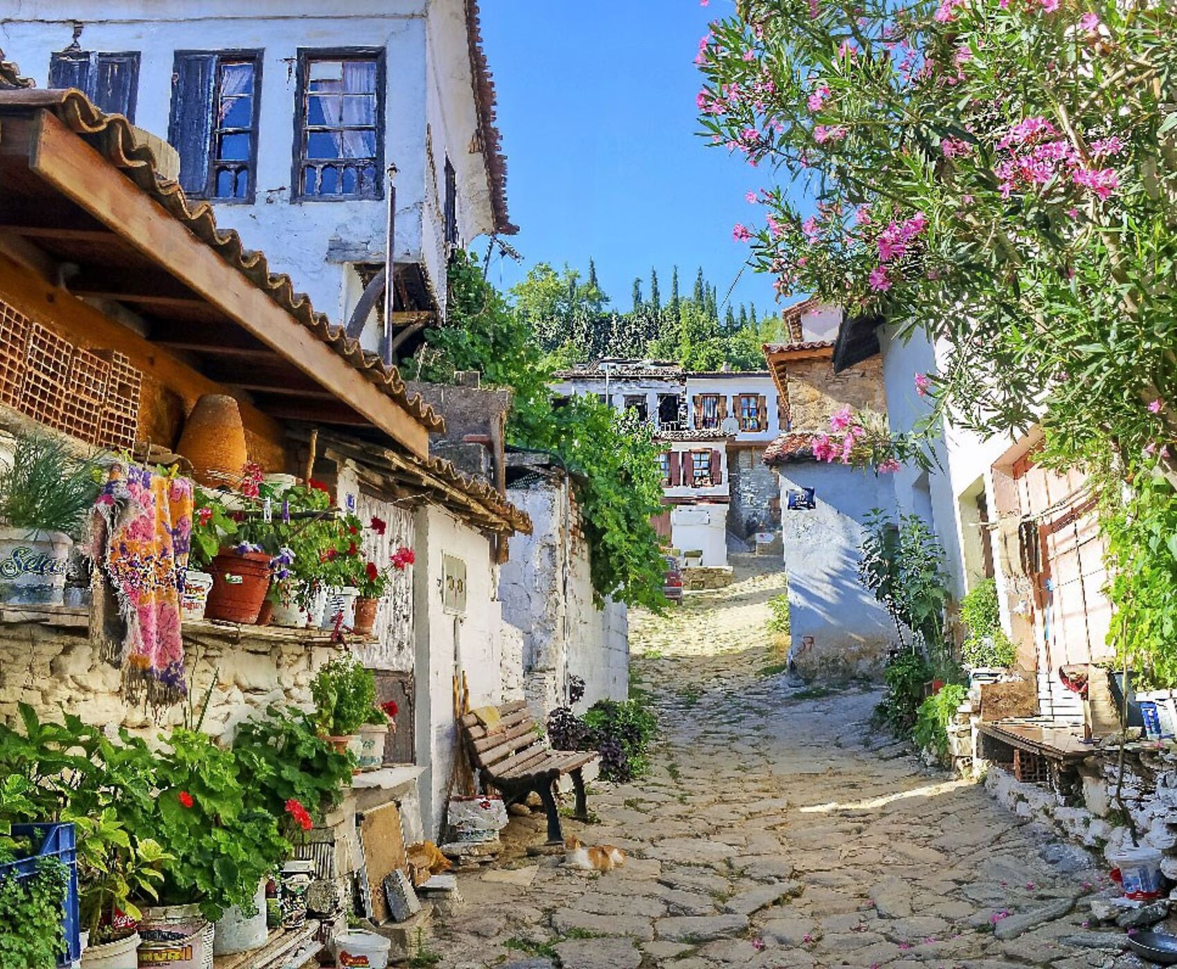 UÇAKLI İZMİR &ALAÇATI & FOÇA & AYVALIK &  BOZCAADA & ÇANAKKALE & BANDIRMA & BURSA 