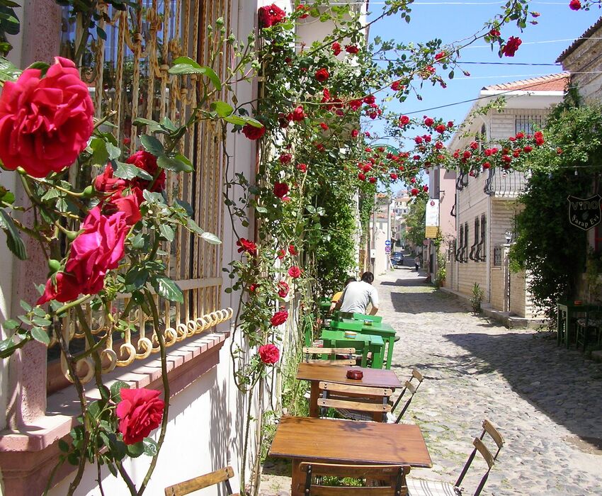 UÇAKLI İZMİR &ALAÇATI & FOÇA & AYVALIK &  BOZCAADA & ÇANAKKALE & BANDIRMA & BURSA 