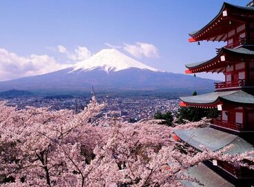 Dolu Dolu Sakura Dönemi Özel Japonya & Kore Turu Mistik Rotalar