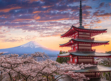 Comfort Japonya Turu Etihad Hava Yolları ile 6 gece Ekstra Turlar Dahil NRT-KIX 