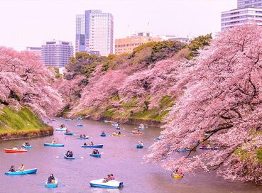 Doğan Güneşin Ülkesi Japonya Turu - ANA Havayolları ile