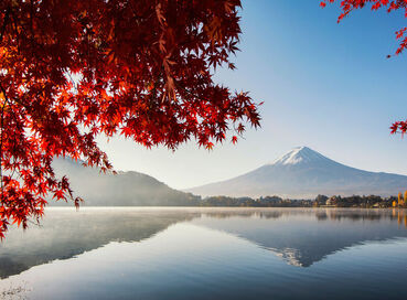 Görkemli Uzaklar: Japonya & Hong Kong 17 Ocak Hareket Türk Hava Yolları ile
