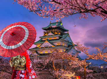 Comfort Japonya Turu Türk Hava Yolları ile 6 gece Ekstra Turlar Dahil ve Çay Seremonisi Dahil NRT-KIX 2026