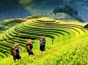 Görkemli Tropik Asya İkilisi Vietnam & Kamboçya - THY ile 27 Haziran (2026 Yaz Dönemi) AT1319