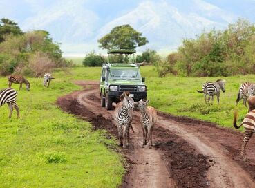 Elit Güney Afrika Turu THY ile 7 Gece Ekstra Turlar Dahil Kurban Bayramı Dönemi