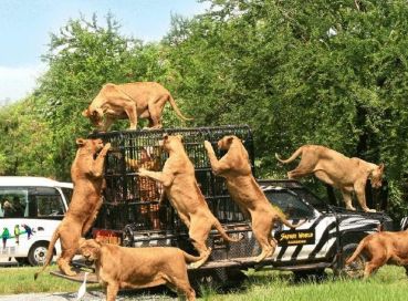 Dolu Dolu Güney Afrika & Botsvana & Victoria Şelaleleri Turu Rotası V2