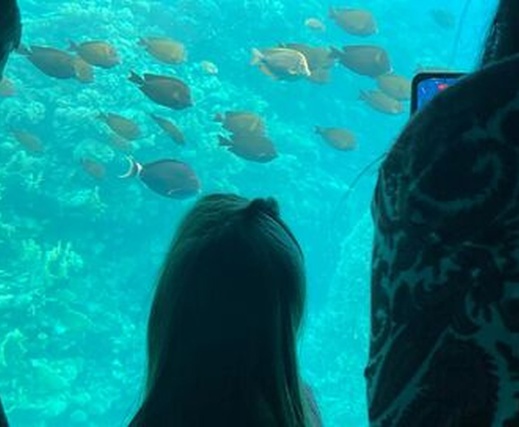 ANTALYADAN DİREKT UÇAKLI SHARM & KAHİRE MACERASI TURU 