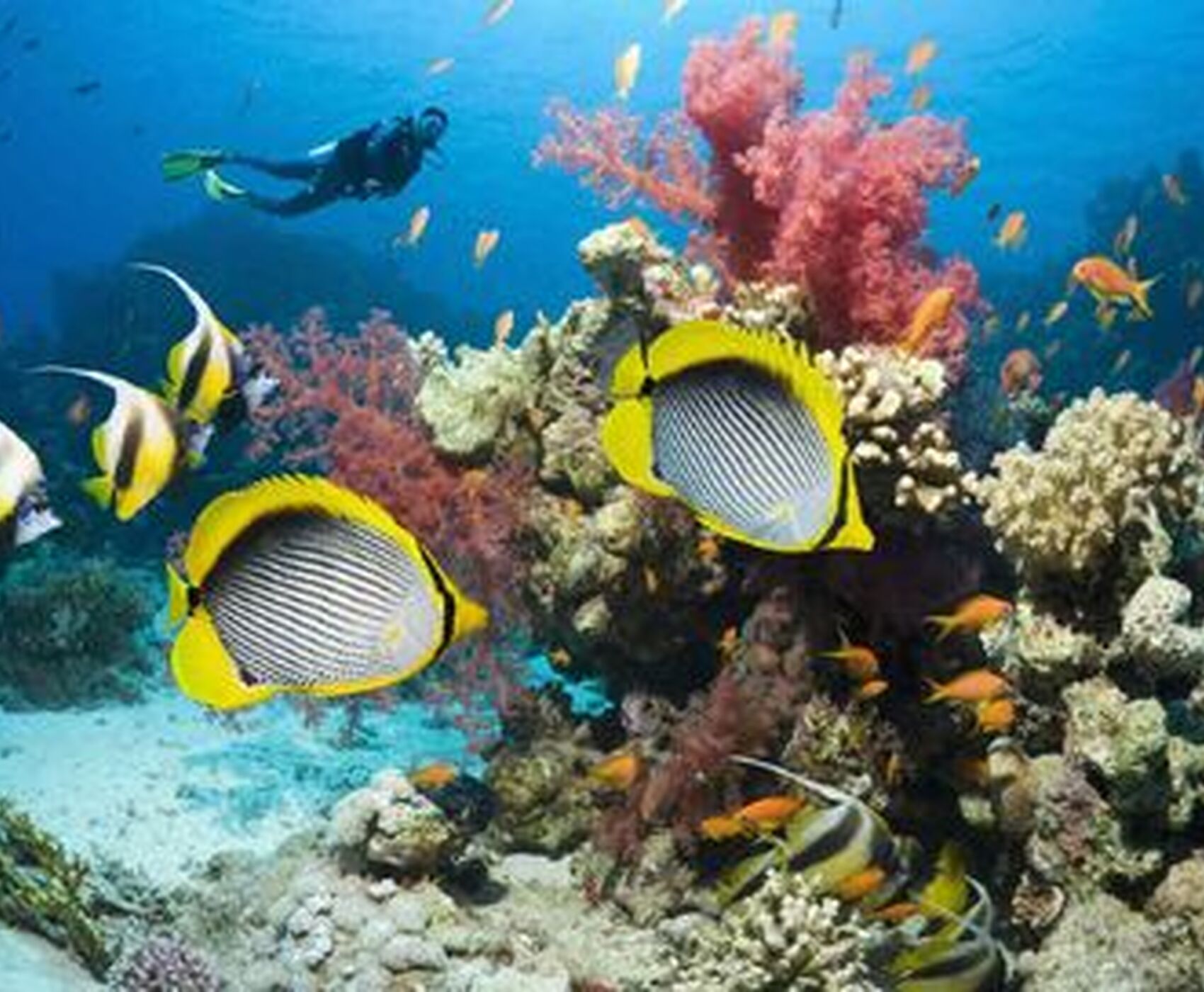 ANTALYA DAN DİREKT UÇAKLI SHARM EL SHEİKH & KAHİRE 3 GECE BAHAR DÖNEMİ