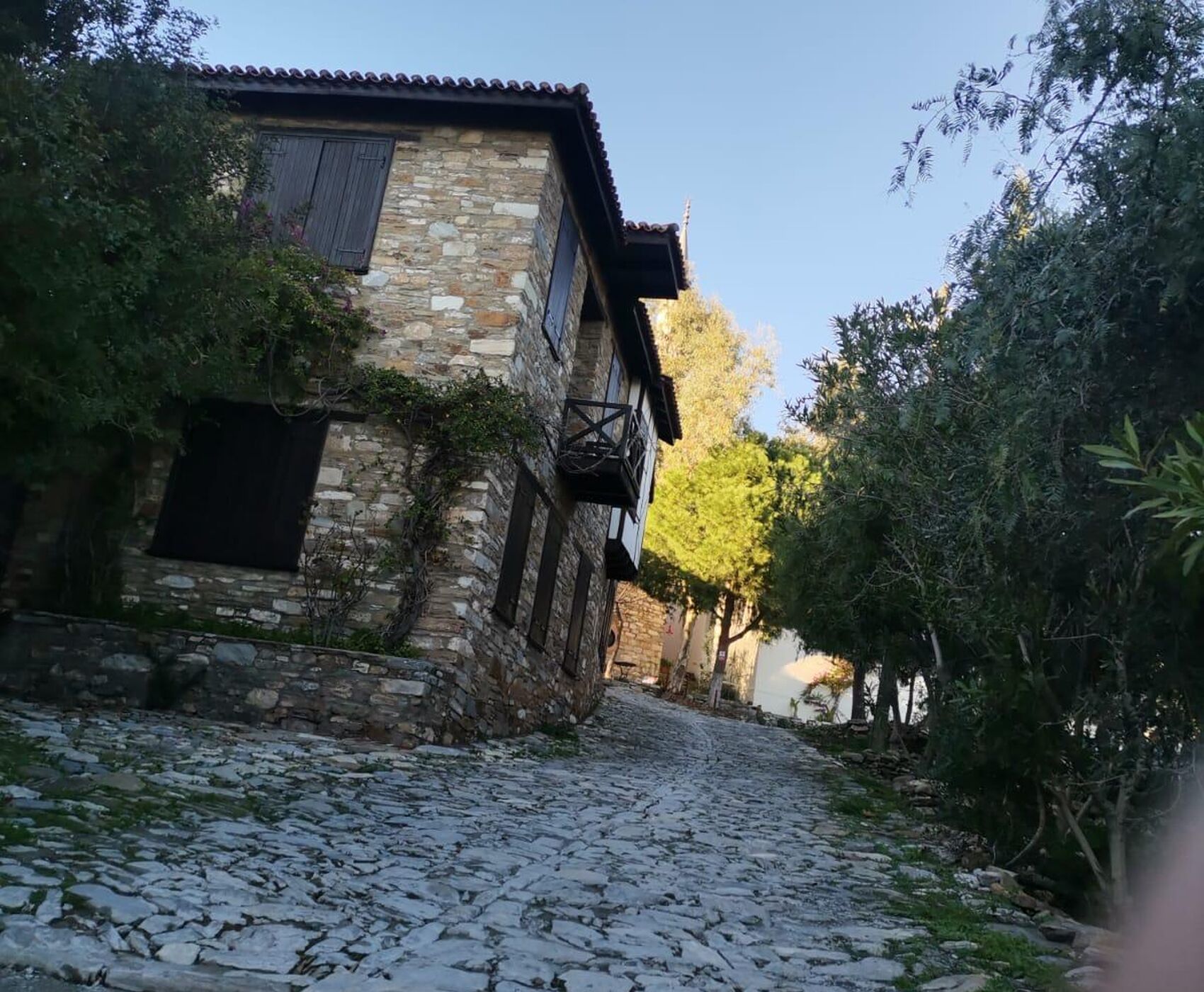 EGE'NİN EN RENKLİ KIŞ FESTİVALİ - NERGİS FESTİVALİ ROTASI