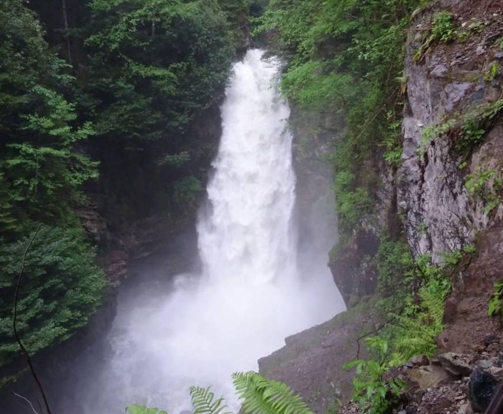 OTOBÜSLÜ DOĞU KARADENİZ TURU