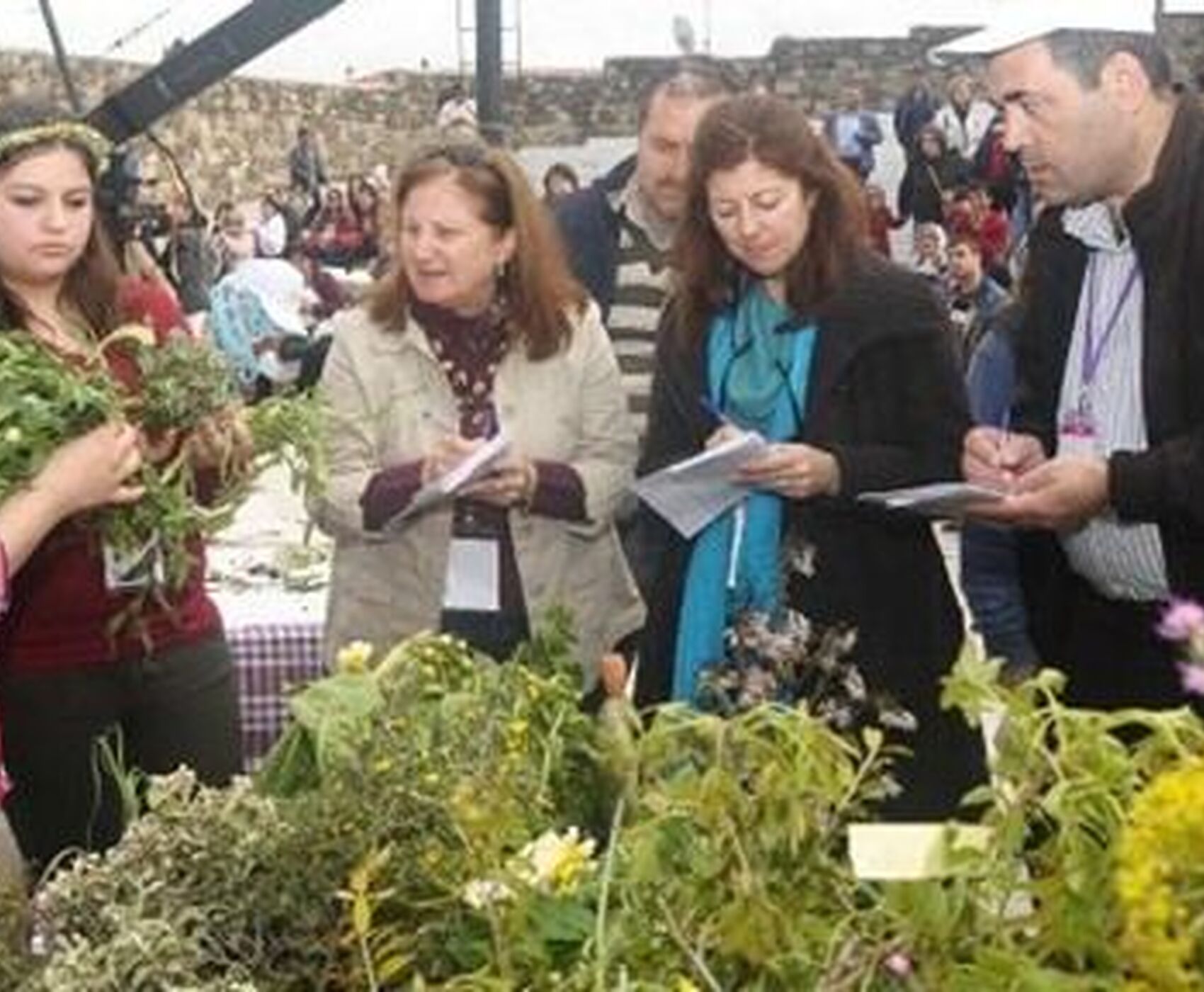 ALAÇATI OT FESTİVALİ