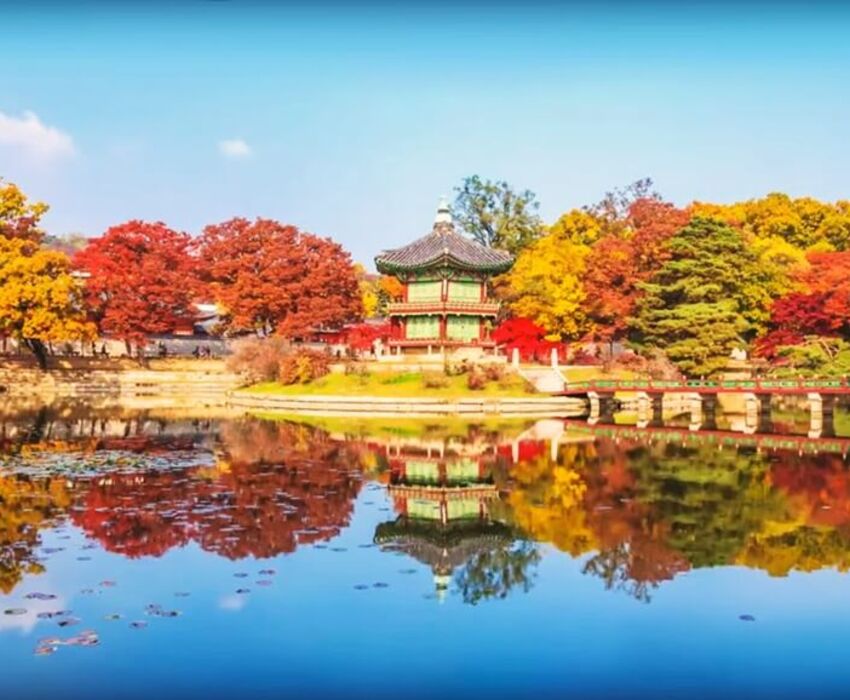 GÜNEY KORE JAPONYA TAYVAN HONG KONG