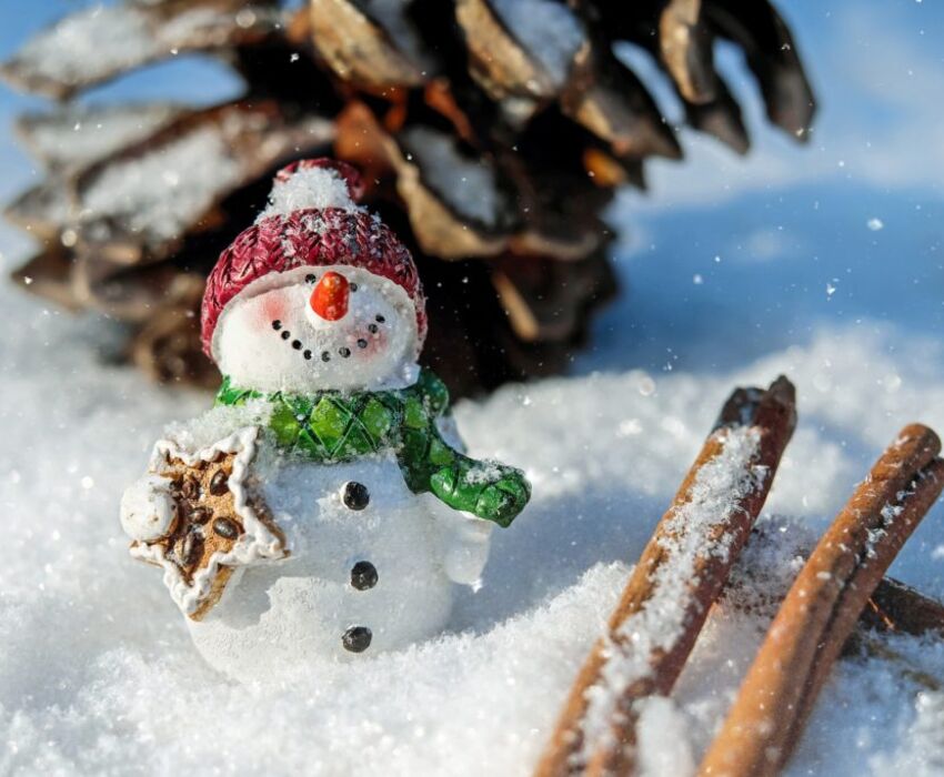 UÇAKLI AYDER YAYLASI KARDAN ADAM FESTİVALİ